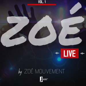 Listen to Distans M'rivé (Live) song with lyrics from Zoé Mouvement