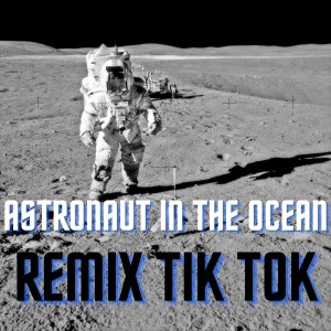 收听Dj Mix Tik Tok的Astronaut In The Ocean Remix Tik Tok歌词歌曲
