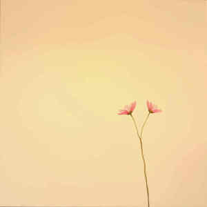 Album Sense from Cloudsurfin'