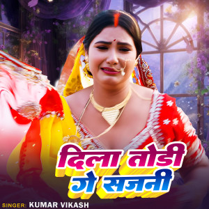 Listen to Dila Todi Ge Sajni song with lyrics from Kumar Vikash
