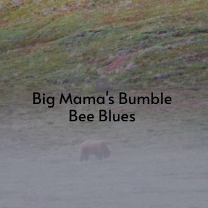 Listen to Annie Lee Blues song with lyrics from Robert Nighthawk