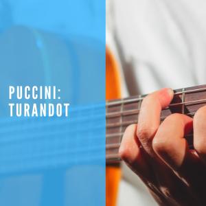 อัลบัม Puccini: Turandot ศิลปิน Various