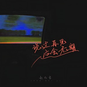 收听赵乃吉的说过再见后会无期歌词歌曲