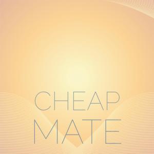 Listen to Cheap Mate song with lyrics from Gawain Kauany
