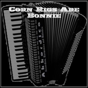 Listen to Corn Rigs Are Bonnie (feat. Akkordica) song with lyrics from Syntheway