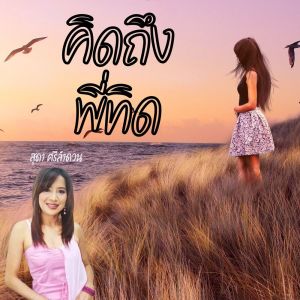 Dengarkan คิดถึงพี่ทิด lagu dari สุดา ศรีลำดวน dengan lirik