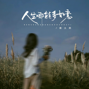 Album 人生哪能多如意 from 琪大妈
