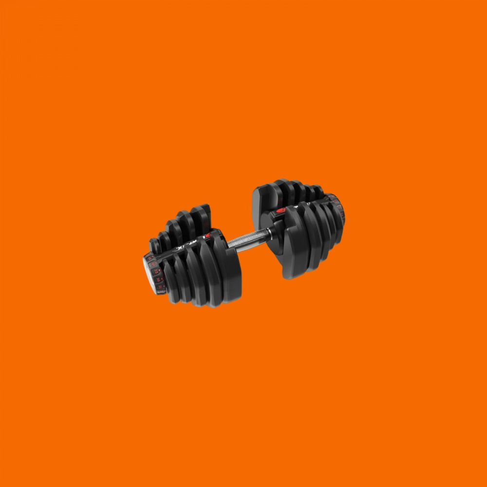 Workout (Explicit)