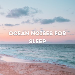 Calm Ocean Sounds的專輯Ocean Noises for Sleep
