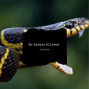 Album No Snakes Allowed (Explicit) from D Savage