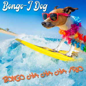 Listen to Bongo Cha Cha Cha / Rio (Dog Version) song with lyrics from Bongo-J Dog