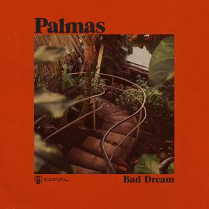 ดาวน์โหลดและฟังเพลง Bad Dream พร้อมเนื้อเพลงจาก PALMAS