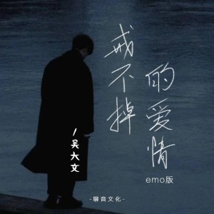 Album 戒不掉的爱情（emo版） from 吴大文