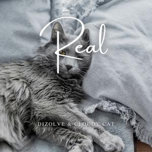 Album Real oleh Dizolve