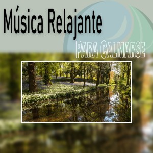 Dengarkan El Mundo al Amanecer lagu dari Música de relajación profunda dengan lirik