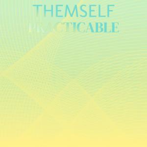 Various Artists的專輯Themself Practicable