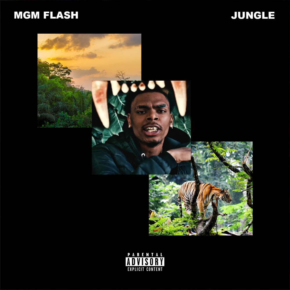 Jungle (Explicit)