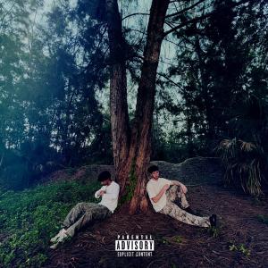 收聽Kid Sim的TOO MANY TIMES (feat. I'm Dru!) (Explicit)歌詞歌曲