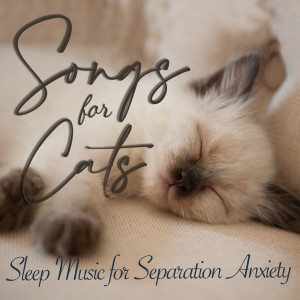 Album Songs for Cats - Sleep Music for Separation Anxiety from Cat Music Dreams