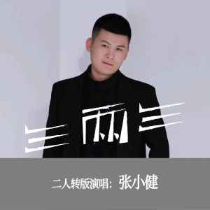 Album 三两三（二人转版） from 张小健