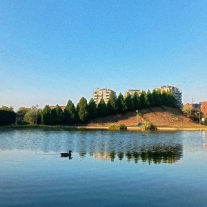 ดาวน์โหลดและฟังเพลง Duck In Portello พร้อมเนื้อเพลงจาก Paty