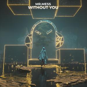 Listen to Without You song with lyrics from Mr. Mess