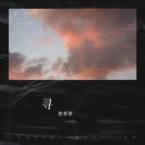 Listen to 寻 (伴奏) song with lyrics from 胖胖胖