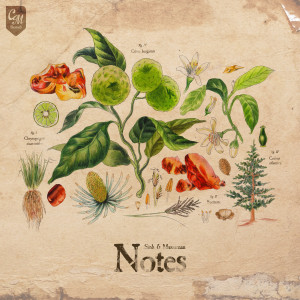ดาวน์โหลดและฟังเพลง Vetiver พร้อมเนื้อเพลงจาก .sinh
