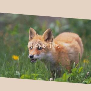 Listen to Inwardness Crash song with lyrics from Jase Liin