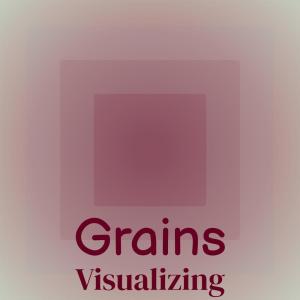 Various的专辑Grains Visualizing