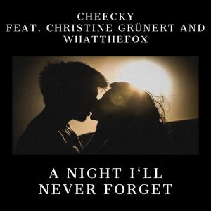 Album A Night I'll Never Forget (feat. Christine Grünert & WhatTheFox) from Cheecky