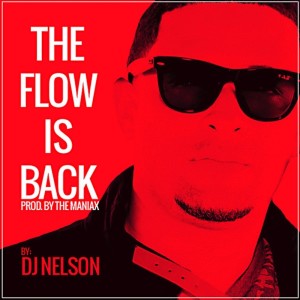 收聽DJ Nelson的The Flow Is Back歌詞歌曲