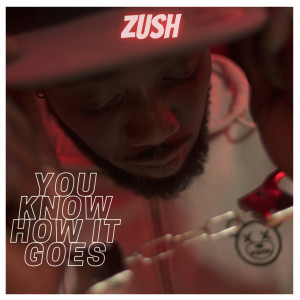 ดาวน์โหลดและฟังเพลง You Know How It Goes (Explicit) พร้อมเนื้อเพลงจาก Zush