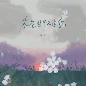 Album 落花时节又逢你 from 