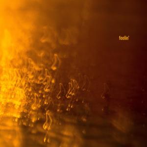 CN:VX的專輯FEELIN'