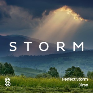 Album Perfect Storm from 