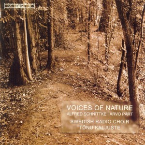 Listen to Dopo la vittoria: Dopo la vittoria (Piccola Cantata) song with lyrics from Swedish Radio Chorus