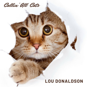 Callin’ All  Cats dari Lou Donaldson