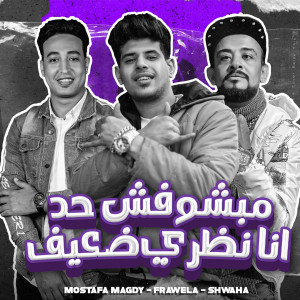 ดาวน์โหลดและฟังเพลง مبشوفش حد انا نظري ضعيف พร้อมเนื้อเพลงจาก Moustafa Magdy