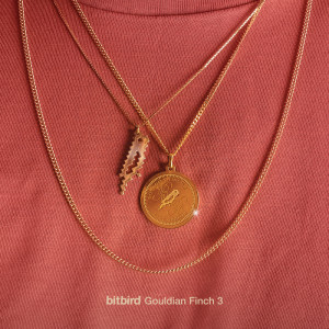 อัลบัม Gouldian Finch 3 ศิลปิน Various Artists