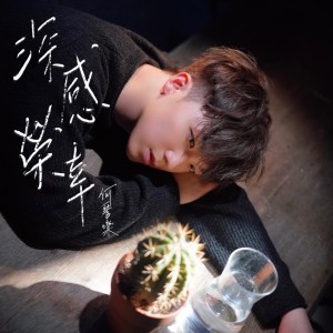 Listen to 深感荣幸 (伴奏) song with lyrics from 何晋乐 (声梦传奇)