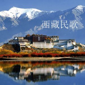 Listen to 逛新城 song with lyrics from 张振富
