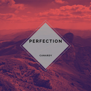 Listen to perfection song with lyrics from canardy