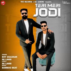 Album Teri Meri Jodi from 