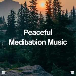 Listen to River Sounds & Nature song with lyrics from Deep Sleep