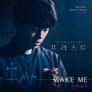 Listen to Wake Me (Instrumental) song with lyrics from NieN