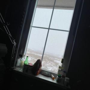 收聽Digi [Junior]的iwantuuu<3歌詞歌曲