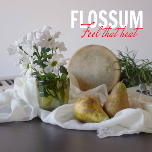 ดาวน์โหลดและฟังเพลง Superstition พร้อมเนื้อเพลงจาก Flossum