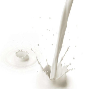 Album Milk from Gibb-Z
