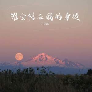 Listen to 谁会陪在我的身边 song with lyrics from 小璐